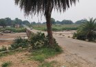 मुख्यमंत्री विष्णुदेव साय के निर्देश पर कुनकुरी-रनपुर मार्ग पर ईब नदी पर बनेगा उच्चस्तरीय पुल, आवागमन होगा और भी सुरक्षित : 120 मीटर लंबे पुल के निर्माण के लिए 4.86 करोड़ रुपए स्वीकृत