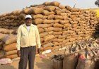 धान की बेहतर कीमत ने बढ़ाया किसान युगल का हौसला
