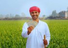 छत्तीसगढ़ के किसानों के लिए बड़ी सौगात, अब इतने रुपए MSP की दर से होगी फसल की खरीदी……