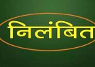 CG NEWS : 10 सहायक शिक्षकों काे DEO ने किया निलंबित..जानिये क्या है पूरा मामला..!!