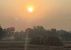 छत्तीसगढ़ में सुबह-शाम ठंड पड़ रही है वहीं दिन में हल्की गर्मी महसूस की जा रही