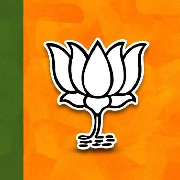 CG : भाजपा जिला संगठन का विस्तार, नवनियुक्त पदाधिकारियों को सौंपे गए नए दायित्व