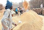 छत्तीसगढ़ में धान खरीदी का अंतिम दिन आज, 10 जनवरी के बाद टोकन कटाने वाले किसान होंगे पात्र