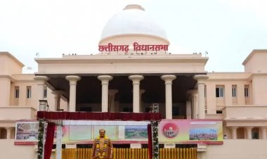 छत्तीसगढ़ में सड़कों पर बिछ रही हैं लाशें! सदन में अपनी ही सरकार के मंत्री पर बरसे भाजपा विधायक