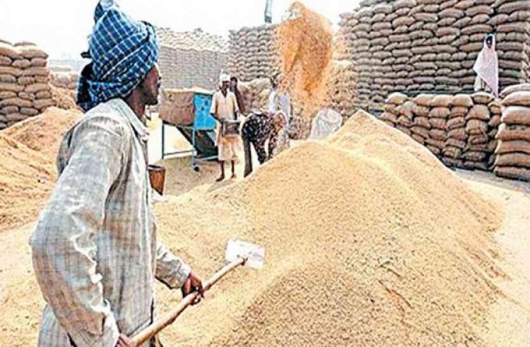 छत्तीसगढ़ में धान खरीदी का अंतिम दिन आज, 10 जनवरी के बाद टोकन कटाने वाले किसान होंगे पात्र
