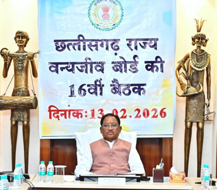 छत्तीसगढ़ राज्य वन्यजीव बोर्ड की बैठक में बड़े निर्णय, राष्ट्रीय बोर्ड को भेजे जाएंगे प्रस्ताव