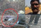 कोरबा में जंगली हाथी का हमला, मंडी प्रभारी की कुचलकर मौत