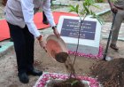 राज्यपाल डेका ने जशपुर के मातृत्व वन में किया सीता अशोक के पौधे का रोपण