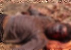 CRIME : जंगल में मिली युवक की लाश, गला रेतकर की गई बेरहम हत्या से सनसनी