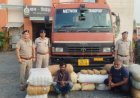 छत्तीसगढ़ में यहां पकड़ाया करोड़ों का गांजा, ट्रक के अंदर का नजारा देख उड़े पुलिस के होश, 5 गिरफ्तार
