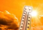 WEATHER : छत्तीसगढ़ में गर्मी का कहर शुरू, पारा 44 डिग्री के करीब, हीटवेव का अलर्ट जारी