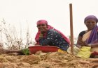 विशेष लेख : सुरक्षा, सम्मान और स्वावलंबन की बन रही नई पहचान