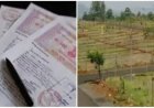 शहरी सरकारी जमीन पर काबिज लोगों को मिलेगा पट्टा: सभी नगरीय निकायों में सर्वे शुरू, 15 अगस्त तक रिपोर्ट मांगी