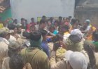 CG BREAKING : 1 लाख पेड़ों के कब्जे पर कार्रवाई, DFO पर भीड़ का हमला
