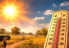 CG WEATHER : उमस और तेज धूप से बढ़ी परेशानी, छत्तीसगढ़ में अगले 72 घंटे रहेंगे बेहद गर्म