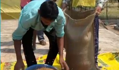 ​धमतरी का गौरव: ‘विश्व की सबसे बड़ी अनाज भंडारण योजना’ में बनाया कीर्तिमान
