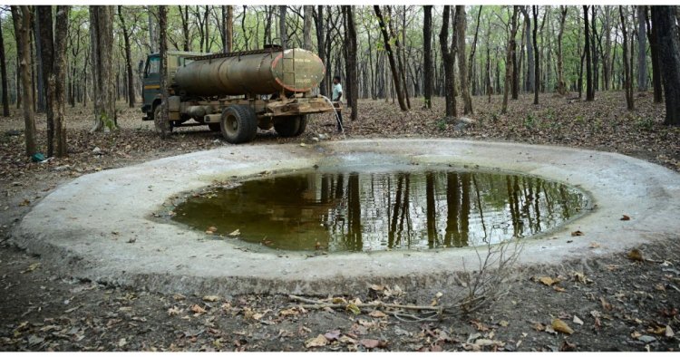 भीषण गर्मी में वन्यजीवों के लिए संजीवनी बना बारनवापारा, जल प्रबंधन का ऐसा मॉडल जो पूरे देश के लिए बना मिसाल
