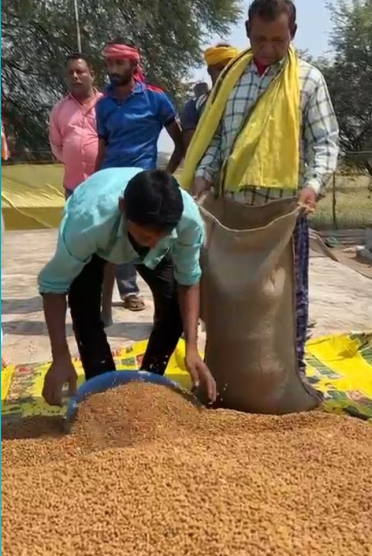 ​धमतरी का गौरव: ‘विश्व की सबसे बड़ी अनाज भंडारण योजना’ में बनाया कीर्तिमान