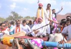 बैलगाड़ी में निकली विधायक दीपेश साहू की बारात, सारथी बने उप मुख्यमंत्री अरुण साव