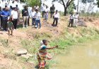 ​मनरेगा और जल निधि का महासंगम: छत्तीसगढ़ के धमतरी में 'आजीविका डबरी' से बदल रही ग्रामीण इकॉनमी की तस्वीर