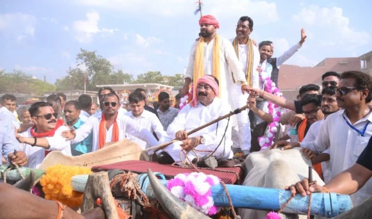 बैलगाड़ी में निकली विधायक दीपेश साहू की बारात, सारथी बने उप मुख्यमंत्री अरुण साव