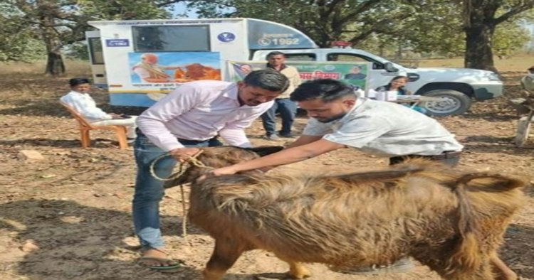 एक कॉल पर घर पहुंच रही पशु चिकित्सा सेवा, ग्रामीण पशुपालकों के लिए वरदान बनी मोबाइल यूनिट