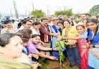 जन्मदिन पर डिप्टी सीएम शर्मा ने लगाया हरियाली का संकल्प, मेडिकल कॉलेज परिसर में हुआ बड़ा वृक्षारोपण अभियान