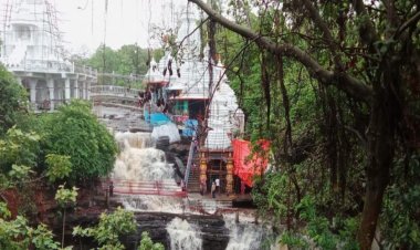 CG : झमाझम बारिश से जतमई का वाटरफॉल हुआ गुलजार, सैलानियों की लग रही भीड़