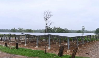 CG : पीएम सूर्य घर योजना का कमाल, ठेनही बना धमतरी का पहला सामूहिक सोलर गांव
