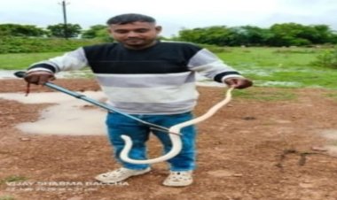 दुर्ग जिले में मिले दुर्लभ श्वेतवर्णी करैत को प्राकृतिक आवास में छोडा़ गया