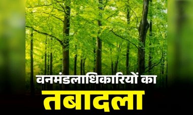 छत्तीसगढ़ में 24 IFS अधिकारियों के तबादले, रायपुर सहित कई जिलों में बदले DFO, देखें किसे मिली कहां की जिम्मेदारी