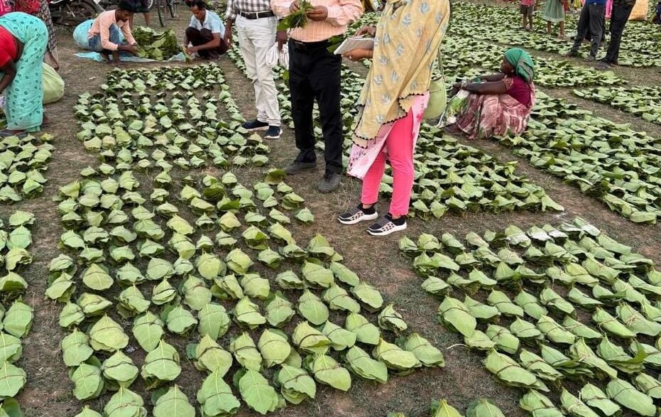छत्तीसगढ़ सरकार का एक और वादा होगा पूरा मुख्यमंत्री श्री विष्णु देव साय 21 जून को करेंगे प्रदेशव्यापी चरण पादुका योजना का शुभारंभ