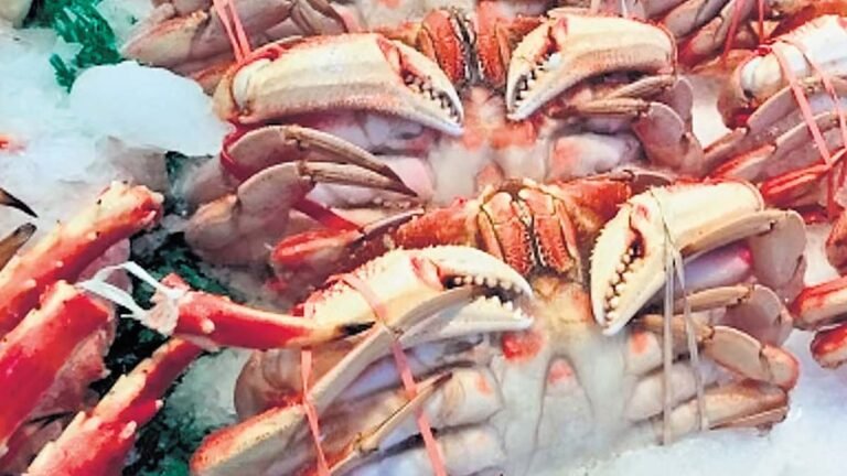 US टैरिफ ने समुद्री खाद्य निर्यात उद्योग को निराशा में धकेला