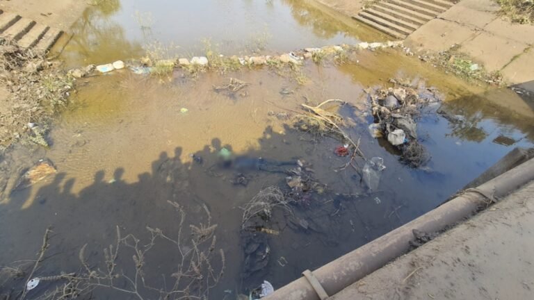नहर में अज्ञात युवक की लाश मिलने से फैली सनसनी
