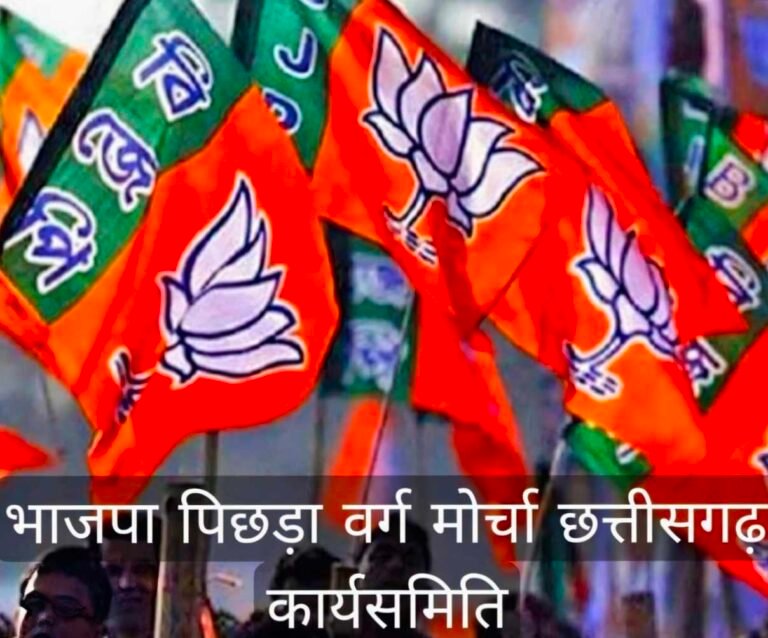 भाजपा पिछड़ा वर्ग मोर्चा छत्तीसगढ़