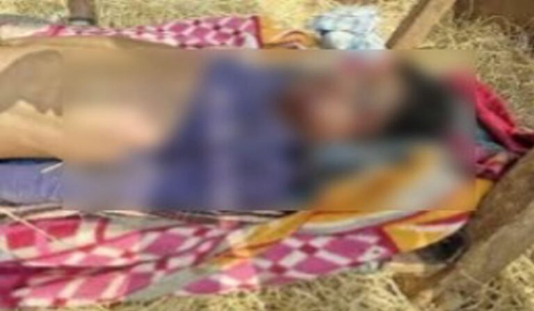 धारदार हथियार से ग्रामीण की हत्या, इलाके में