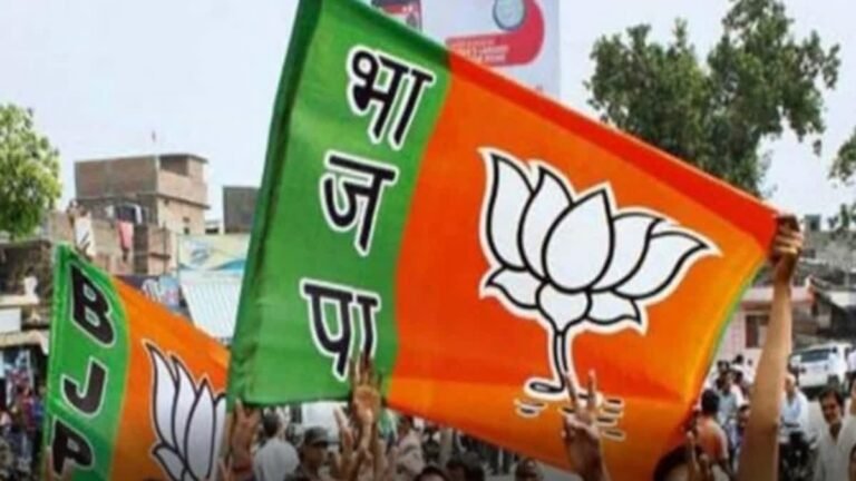 छत्तीसगढ़ बीजेपी में बड़ा फेरबदल, विधानसभा प्रभारियों