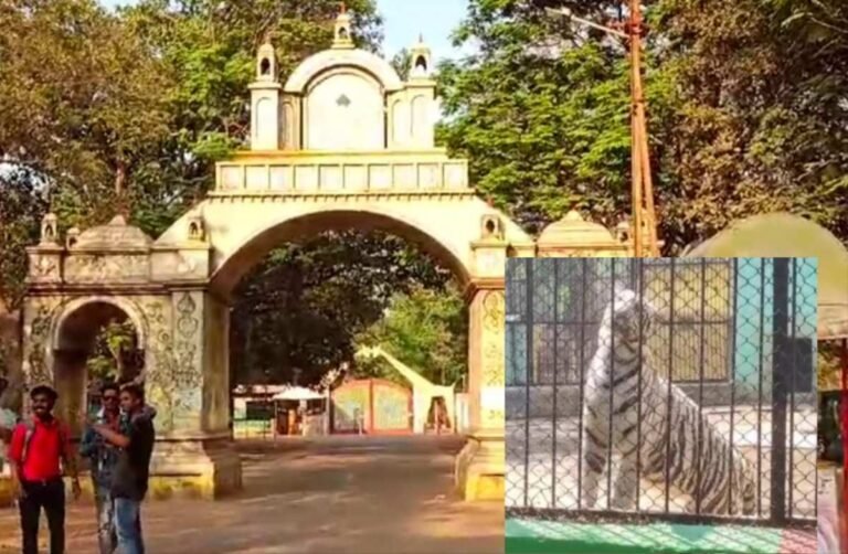 मैत्री बाग में सफेद बाघिन जया की अचानक मौत,