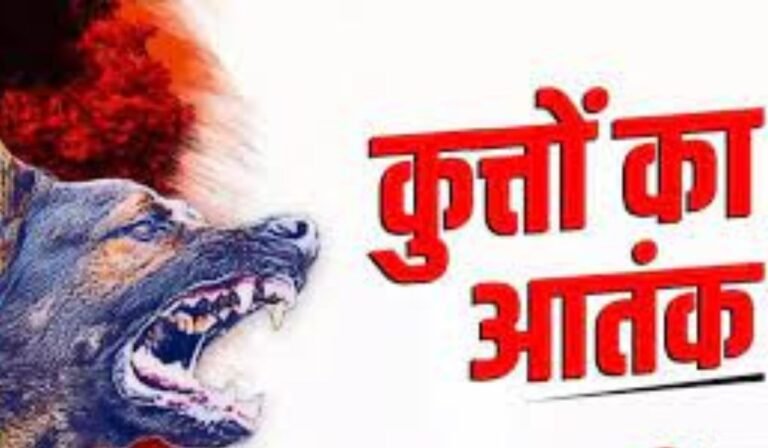 आवारा कुत्तों का आतंक, 48 घंटे में 8 लोग घायल