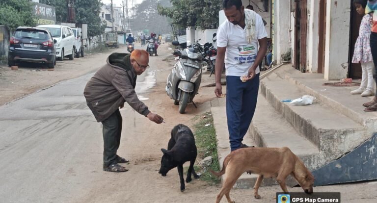 आवारा कुत्तों की नसबंदी, नगर पालिका