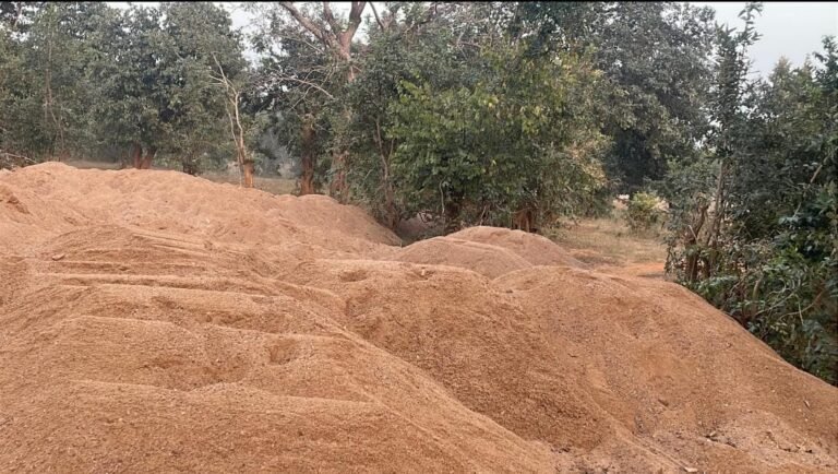 भानुप्रतापपुर में अवैध रेत उत्खनन