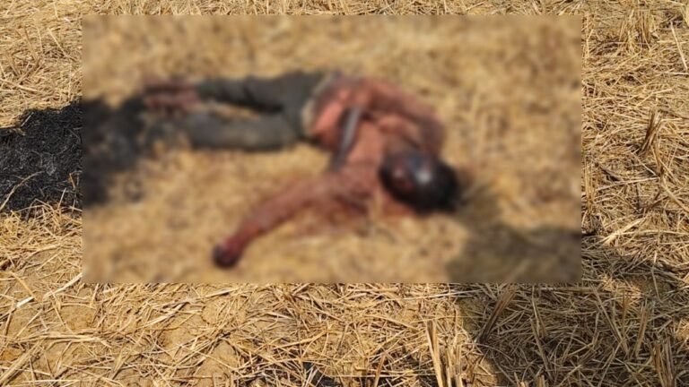 रायपुर में फिर मर्डर, युवक की हत्या कर जलाई