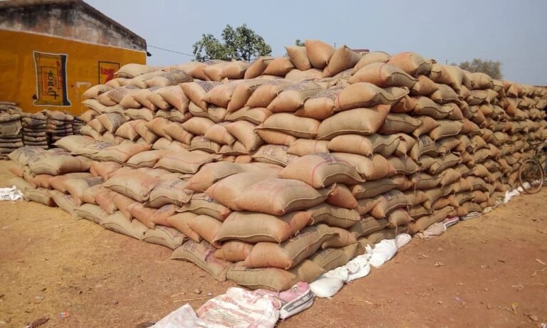 जांच दल ने 156 क्विंटल धान का अवैध भण्डारण होने