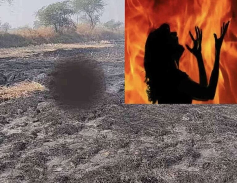 पराली जलाने गई महिला की जिंदा जलने से दर्दनाक मौत