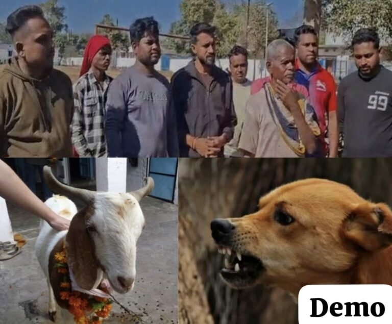 पूजा में रैबीज संक्रमित कुत्ते के काटे बकरे की