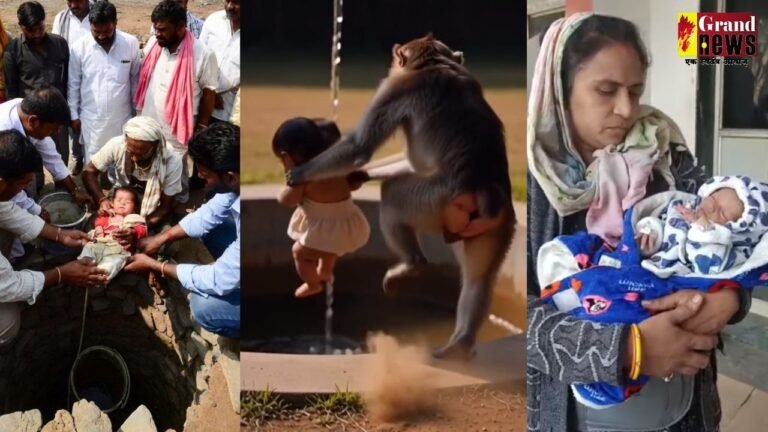 बंदर ने 20 दिन की बच्ची को कुएं में फेंका