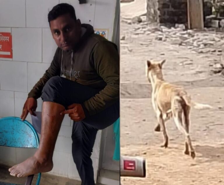 स्कूल परिसर में पागल कुत्ते का आतंक, छात्र और