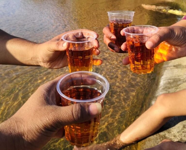 इस गांव में शराब पीने और गाली-गलौज करने पर