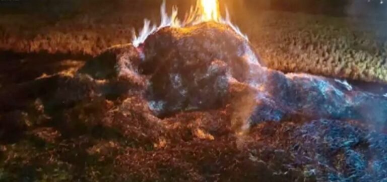 पैरावट में जलकर युवक की मौत, फैली सनसनी