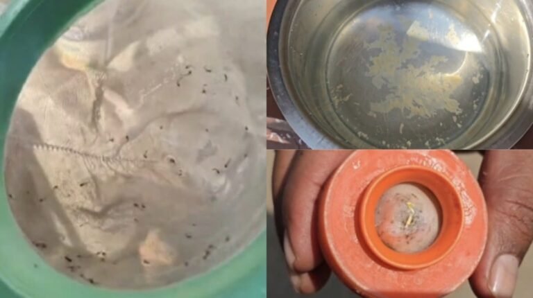 नल के पानी से आ रहे कीड़े, लोगों में आक्रोश